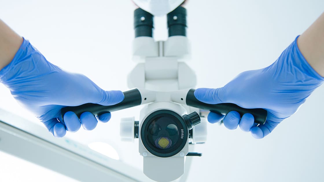 Microscope photo